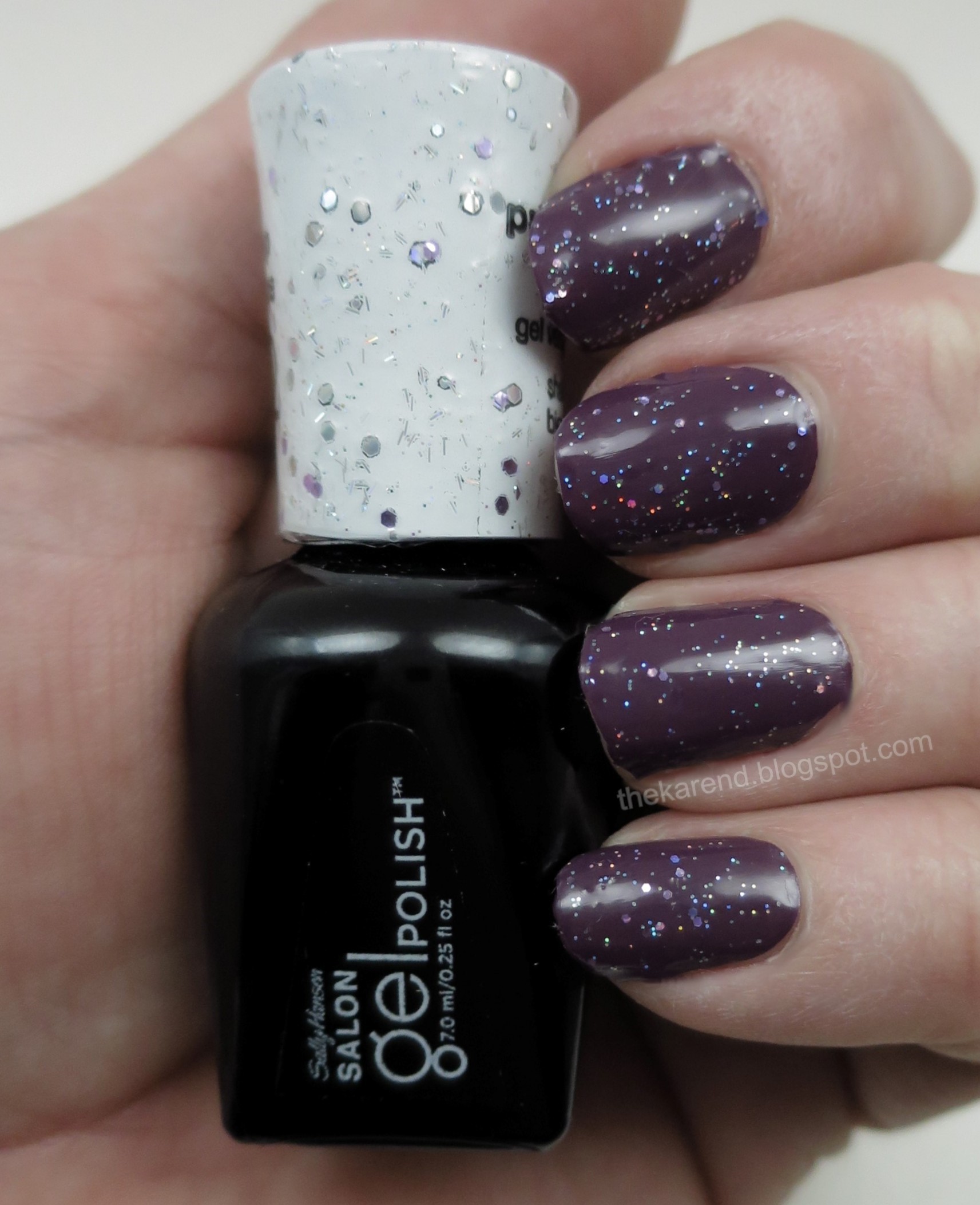 Frazzle and Aniploish: Nails of Some Days: Sally Hansen Troublemaker and  Purple Prisms
